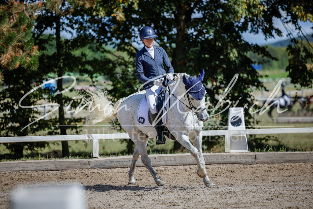 20250906-_3LI5038 | Tierfotografie Pferde, Hunde, Katzen, Haustiere.
Turnierfotografie Reitturniere, Reiten, Springreiten, Dressur in Hanau, dem Main-Kinzig-Kreis und dem Rhein-Main- Gebiet um Frankfurt