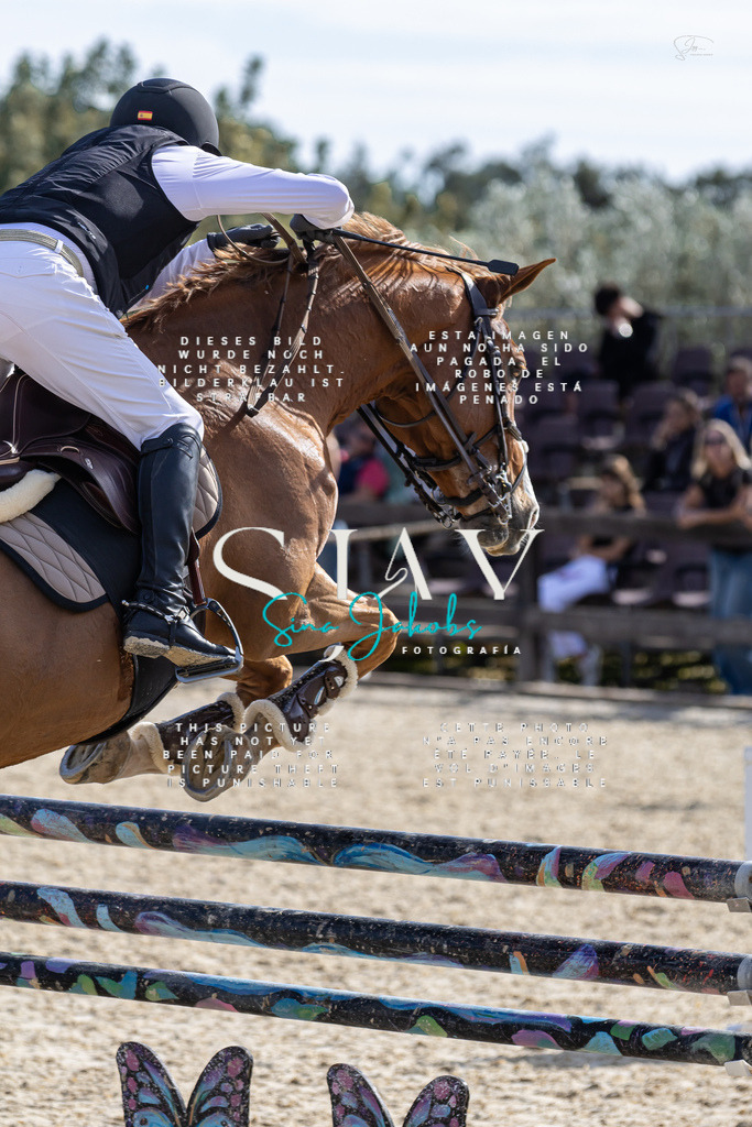 IMG_0434 | s-jay-photography - Realisiert mit Pictrs.com