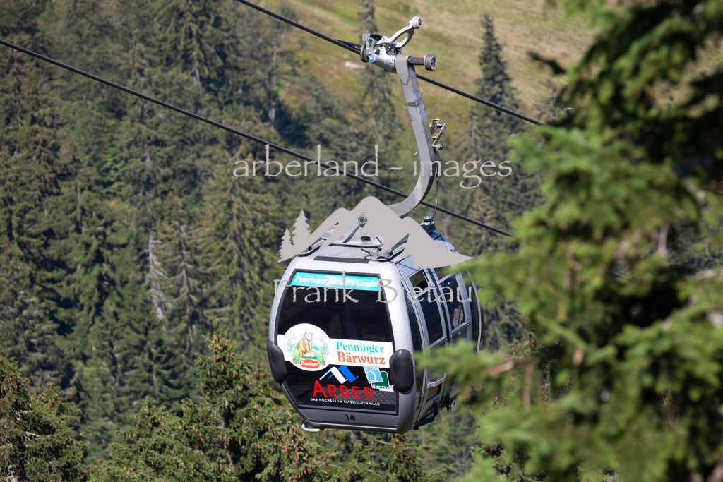 _MG_4343 | Gondel der Arber Bergbahn im Sommer