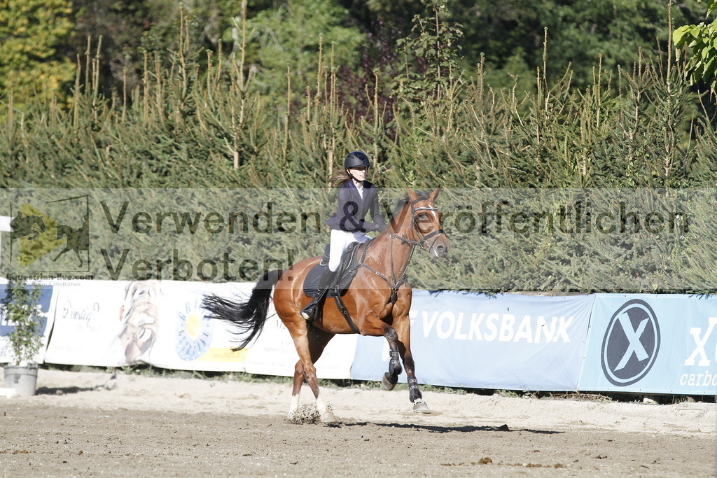 _MG_4536 | equestrian-live-com