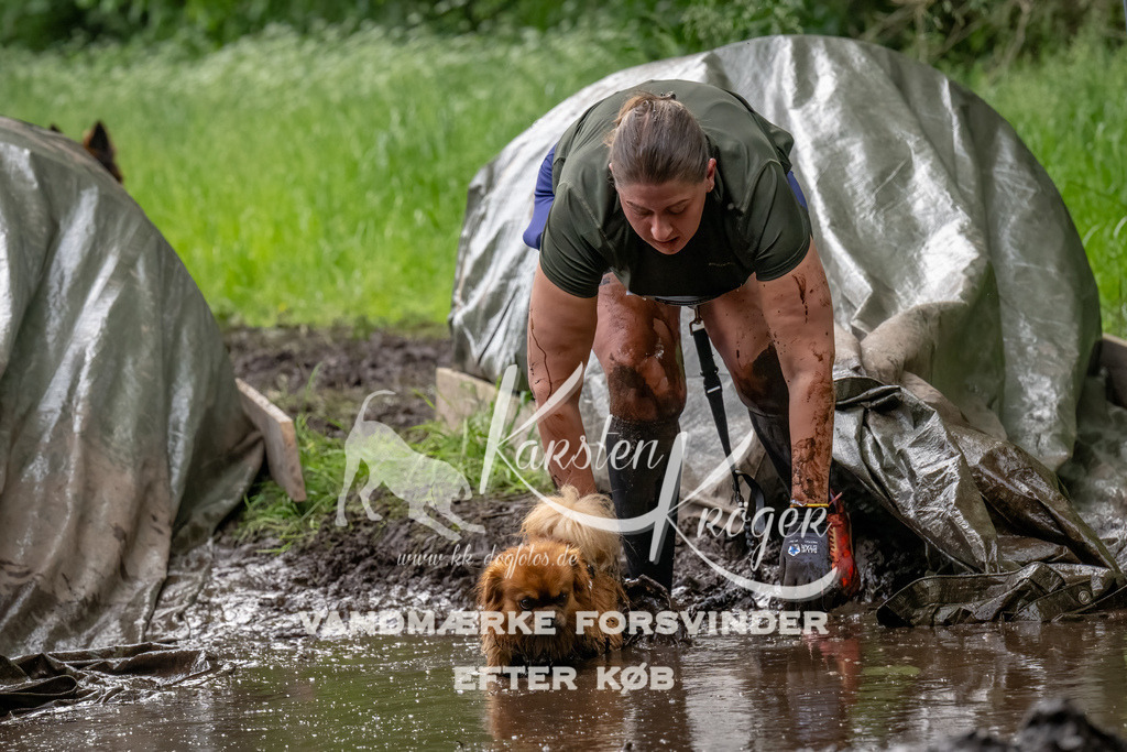 1511_ZZ92234-Bearbeitet | kk-dogfotos