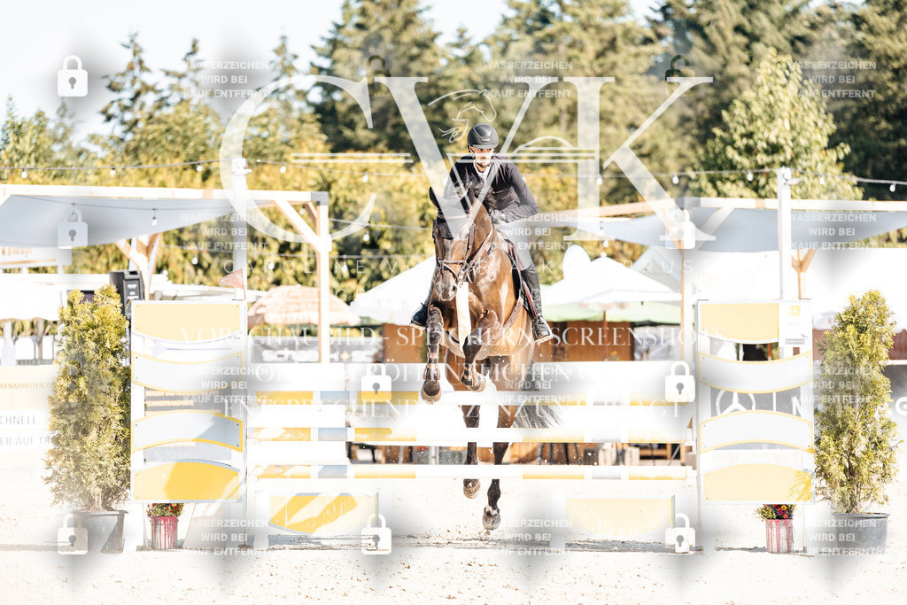 CK902299 | Turnierfotografie Pferdefotografie Trier Rheinland-Pfalz Pferdesport Reitsport Tierfotografie Sportfotografie Pferdevideo Pferdevideografie Equestrianvideography equestrianphotography  - Realisiert mit Pictrs.com