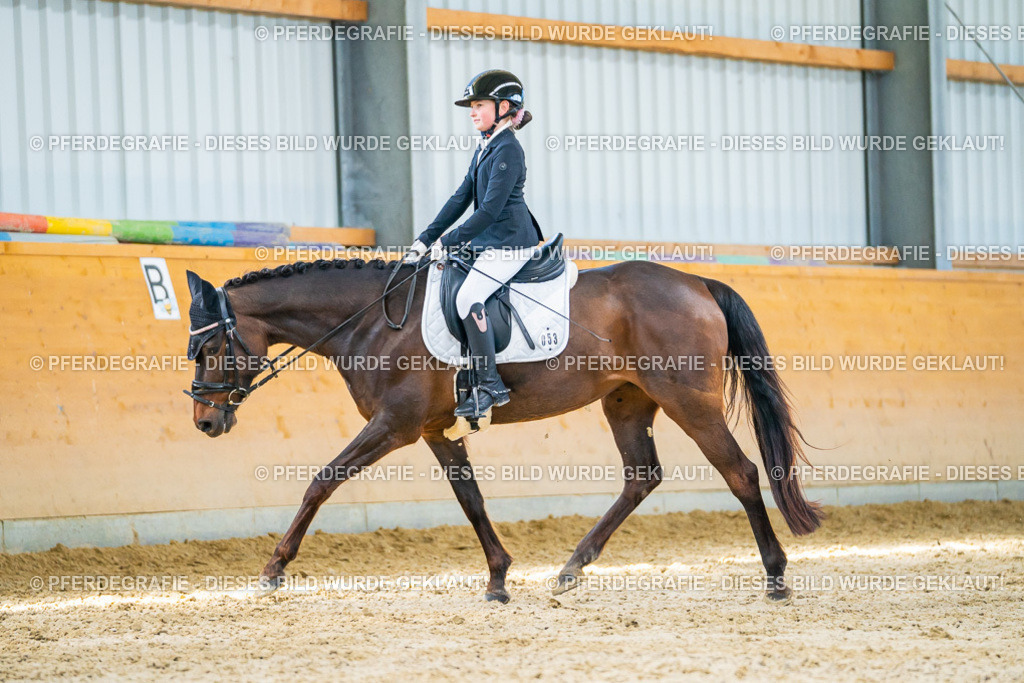 DSC07336 | Pferdegrafie