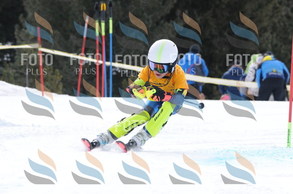 C7641 | holidayphoto