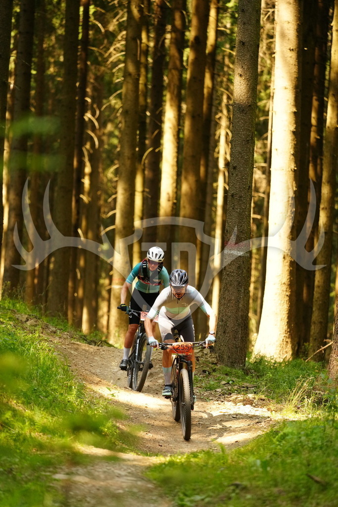 FC102966 | Fotogalerie der Treibjagd im Dunkelwald - Dein MTB Etappenrennen im Erzgebirge - Realisiert mit Pictrs.com
