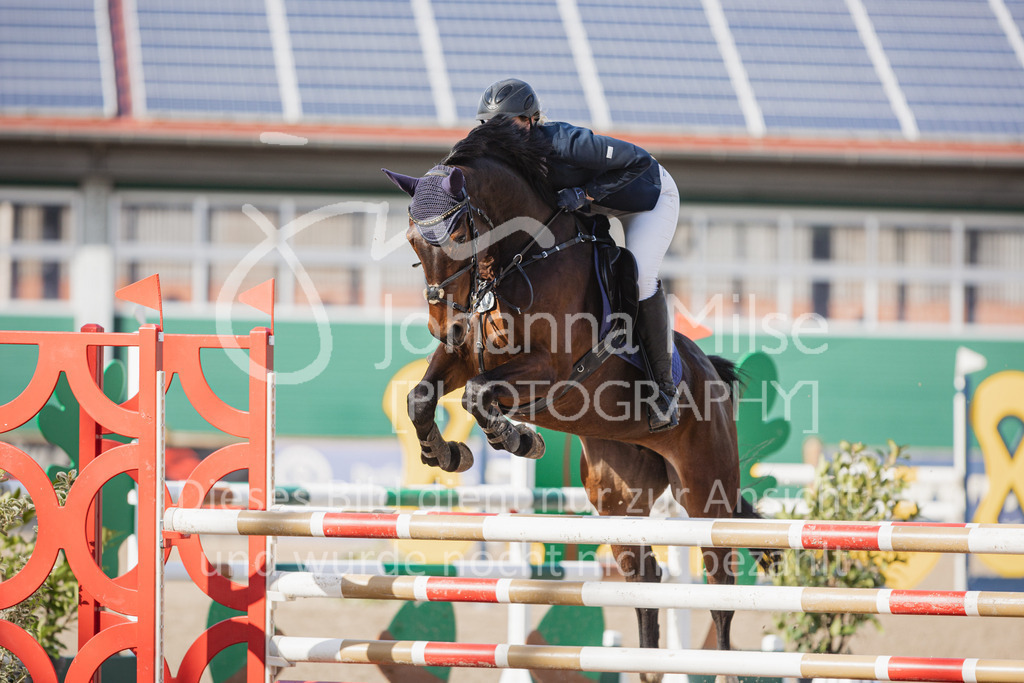 230411_Mühlen_04SprPf-L-433 | Deine schönsten Turniermomente als professionelle Fotos! Entdecke hochwertige Pferdesport-Fotografie im Online-Shop. Jetzt Fotos finden & bestellen!