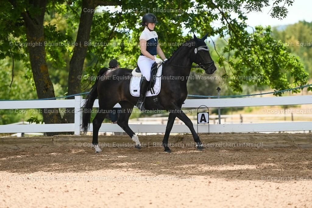 20230715_09_Dressur-WB_0214 | equistock