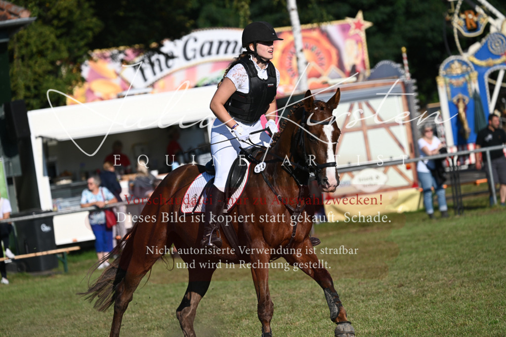 DSC_4711 | Pferde- und Turnierfotografie in Westsachsen. Pferdeportraits, Auftragszeichnungen und intuitive Kunst.