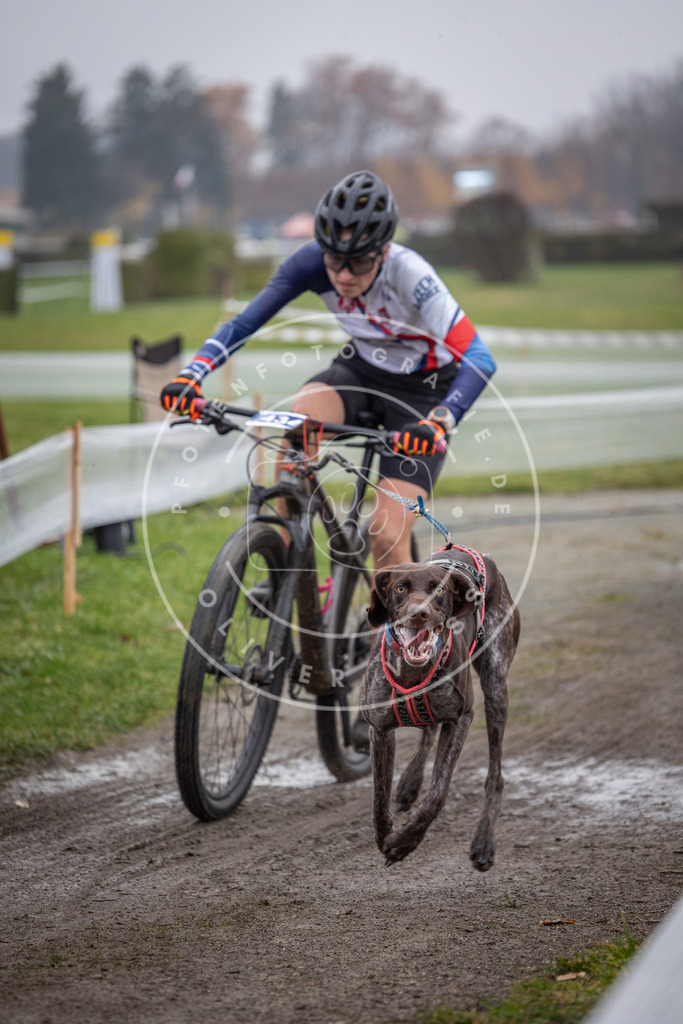 CaniXpix_0L8A1337 | Hundefotografie, Tierfotograf, Pfotenfotografie, Fotoshooting Hund, Hunde Portrait, Hundesport, Hundeportraits, Heideshooting, Hunde, Sportfotograf, Hundefotograf, Turnierhundsport, THS,  - Realisiert mit Pictrs.com