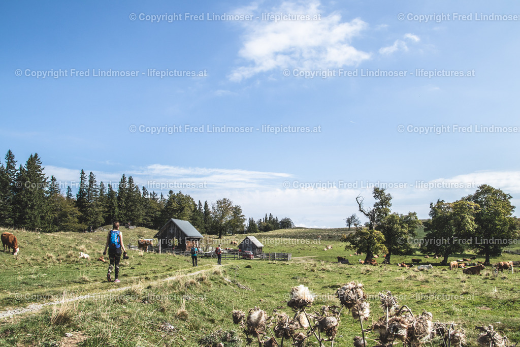 Tirolerkogel Kuchl Alm Annaberg-4939 | Fotos und Fotoprodukte - Realisiert mit Pictrs.com