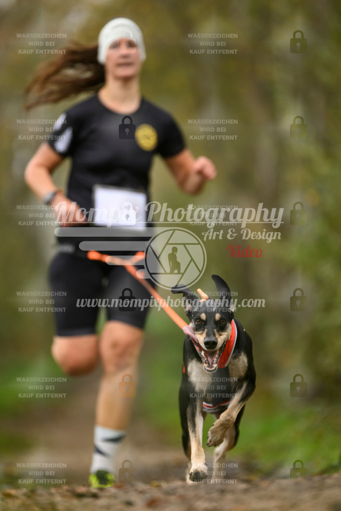 MompixPhotography_20TSB_E6_Run-105 | PayLife