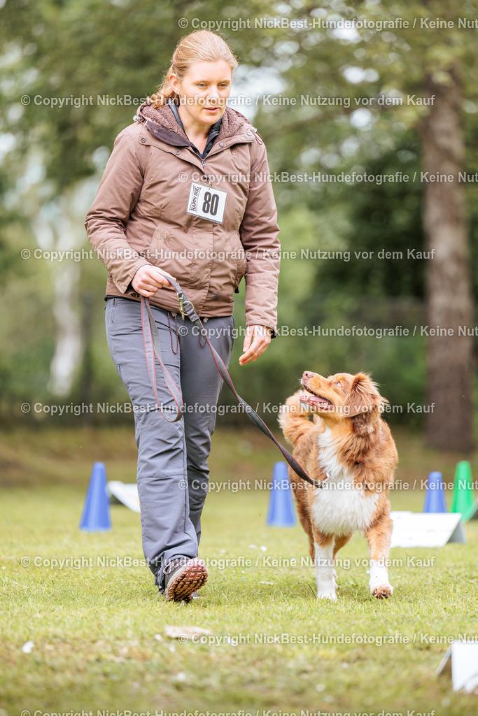 RO-Blumenthal-2026-Nickbest-Hundefotografie-3428 | Dein Hund! Dein Moment! Deine Erinnerungen! Hundefotografie in Bremen Blumenthal. Ich fange die besonderen Momente deines Vierbeiners ein – ob Indoor mit Blitzanlage oder in der freien Natur. Sicher dir dein Moment und dein Termin für eure Erinnerungen.