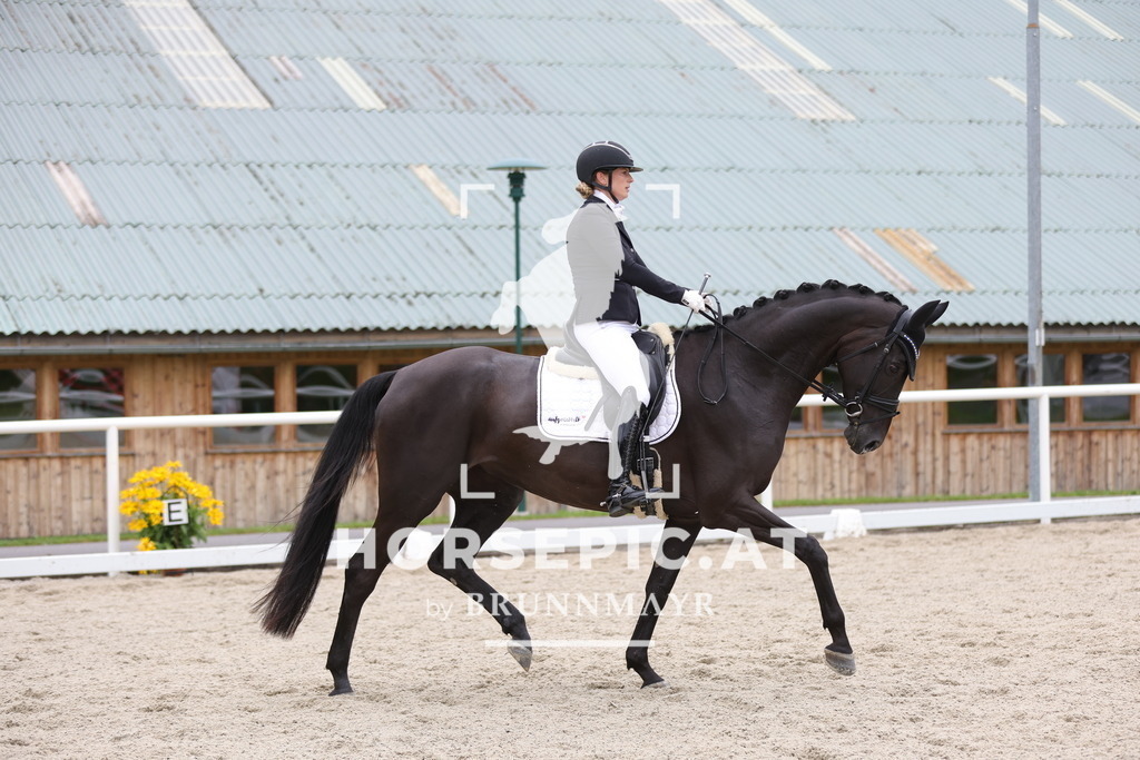 0P6A9151 | Willkommen bei Brunnmayr - Design & Fotografie – Ihrem Spezialisten für Reitturniere und Pferdeveranstaltungen in Oberösterreich, Salzburg und Bayern! Seit über 17 Jahren sind wir leidenschaftlich dabei.