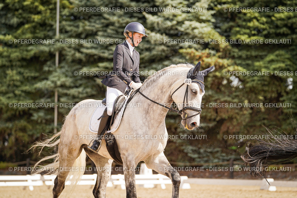 DSC01277 | Pferdegrafie