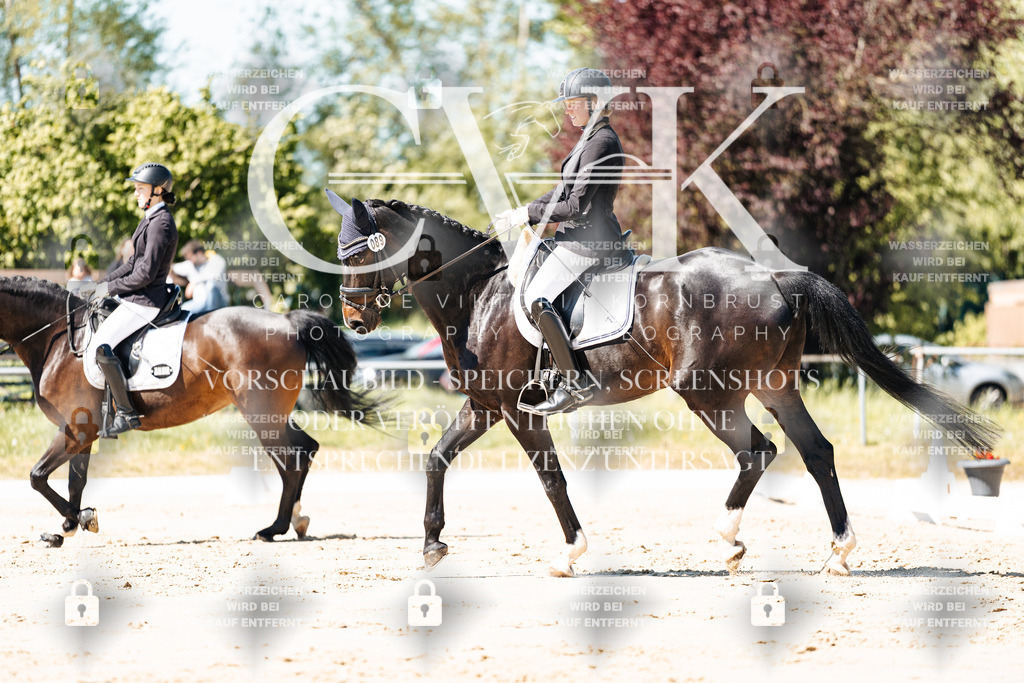 CK905049 | Turnierfotografie Pferdefotografie Trier Rheinland-Pfalz Pferdesport Reitsport Tierfotografie Sportfotografie Pferdevideo Pferdevideografie Equestrianvideography equestrianphotography  - Realisiert mit Pictrs.com