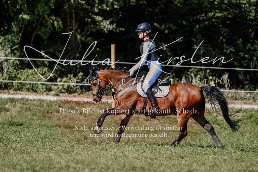 DSC_2952 | Pferde- und Turnierfotografie in Westsachsen. Pferdeportraits, Auftragszeichnungen und intuitive Kunst.