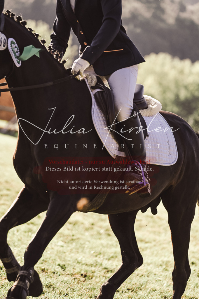 DSC_4652 | Pferde- und Turnierfotografie in Westsachsen. Pferdeportraits, Auftragszeichnungen und intuitive Kunst.