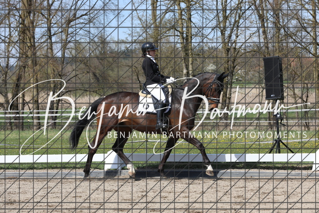 AZ2A5378 | Benjamin Bartmann Photomoments