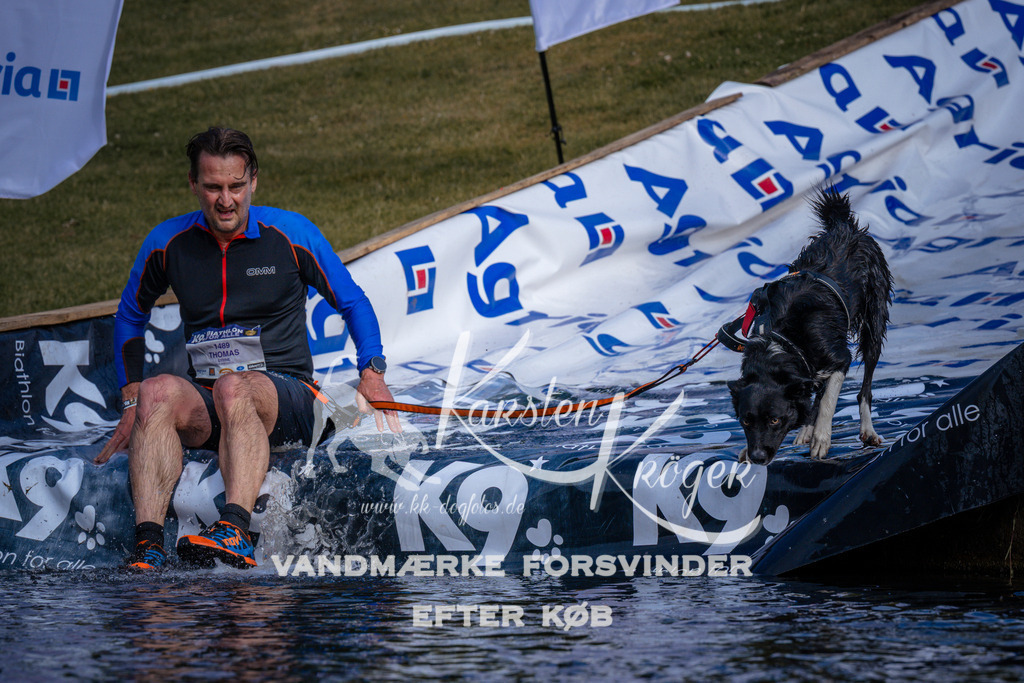 _ZZ967920737 | kk-dogfotos