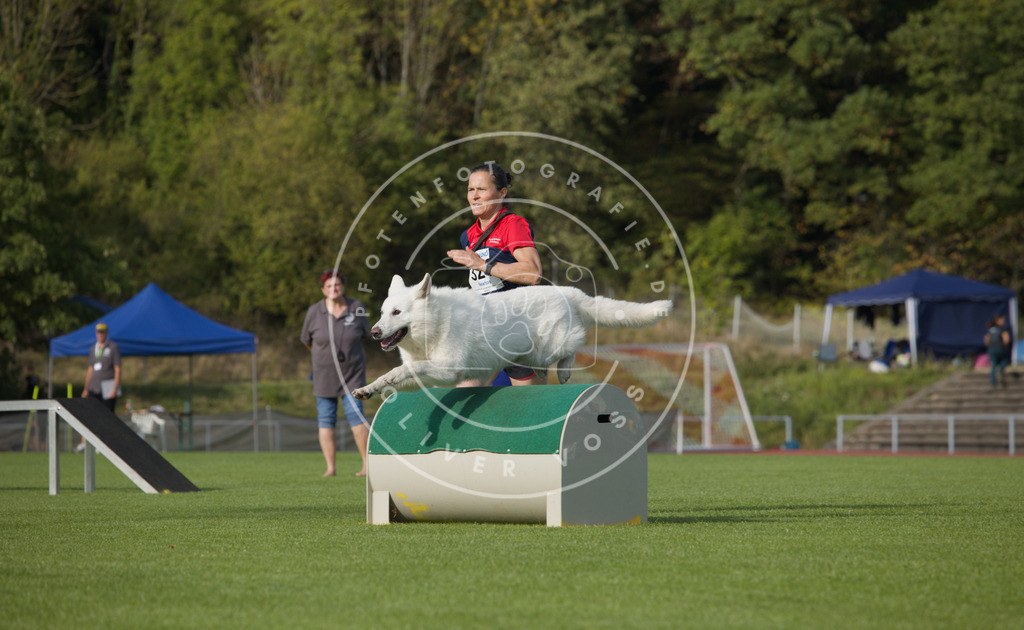 0L8A3995 | Hundefotografie, Tierfotograf, Pfotenfotografie, Fotoshooting Hund, Hunde Portrait, Hundesport, Hundeportraits, Heideshooting, Hunde, Sportfotograf, Hundefotograf, Turnierhundsport, THS,  - Realisiert mit Pictrs.com