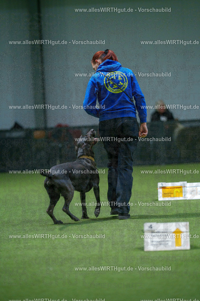 7R507002 | Professionelle Tierfotografie in Mönchengladbach von Daniel Wirth (allesWIRTHgut). Liebevolle & natürliche Bilder von Hunden & Katzen für unvergessliche Erinnerungen.