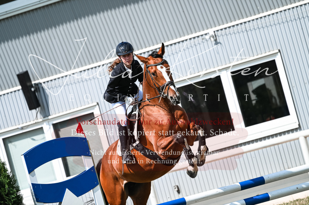 DSC_8679 | Pferde- und Turnierfotografie in Westsachsen. Pferdeportraits, Auftragszeichnungen und intuitive Kunst.