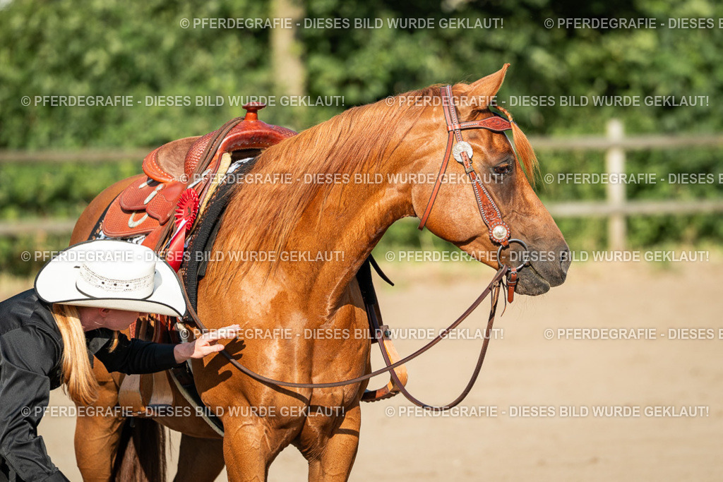DSC05624 | Pferdegrafie
