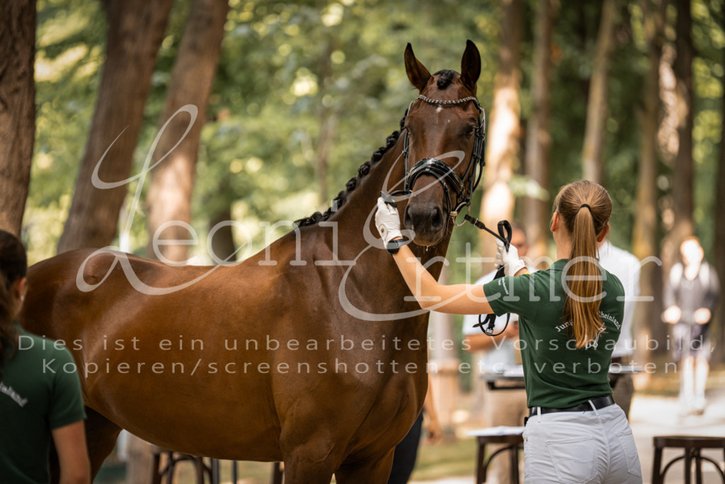 FrPfM00135 | Leoni Ertmer Photography - Realisiert mit Pictrs.com