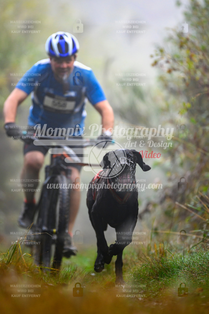 MompixPhotography_20TSB_E4_Bike-49 | PayLife