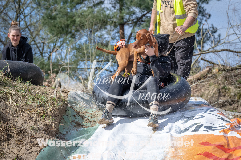 1136_ZZ94460 | kk-dogfotos