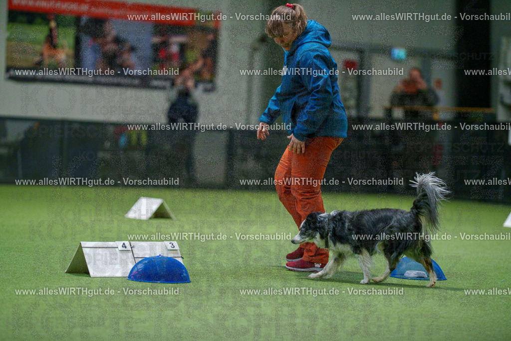 7R504467 | Professionelle Tierfotografie in Mönchengladbach von Daniel Wirth (allesWIRTHgut). Liebevolle & natürliche Bilder von Hunden & Katzen für unvergessliche Erinnerungen.