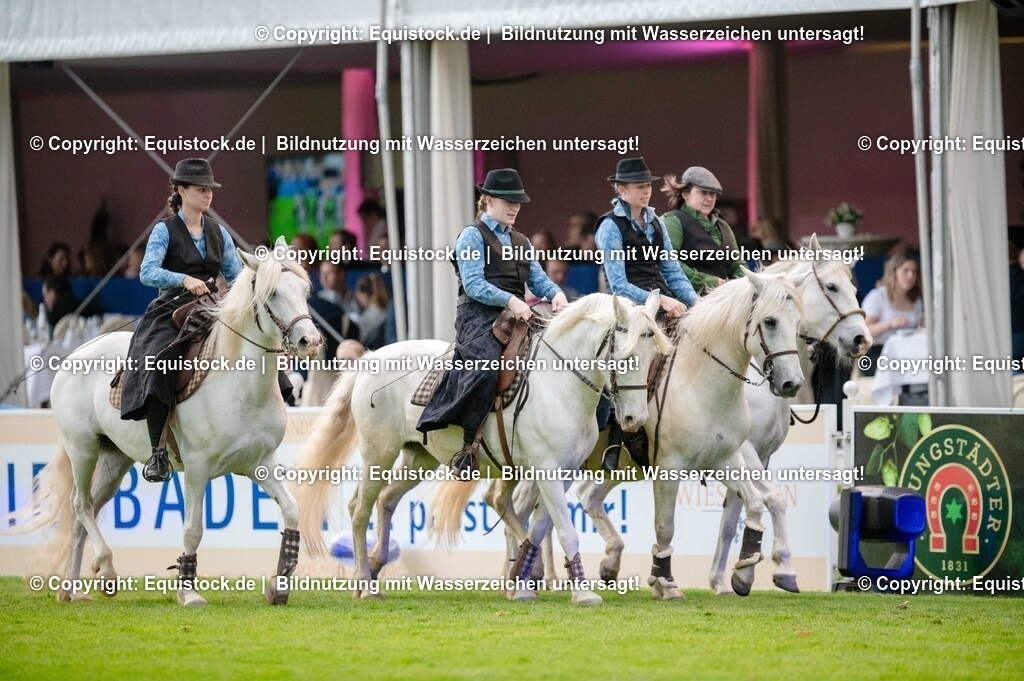20250606_Lange-Pferdenacht_0652 | Foto: Thomas Hartig