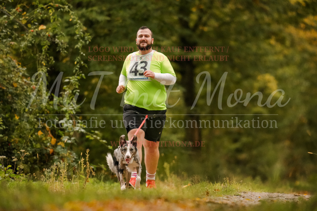 20251005_THS_Turnier-63 | MuT (Mensch und Tier) mit Mona - Fotografie und Tierkommunikation - Realisiert mit Pictrs.com