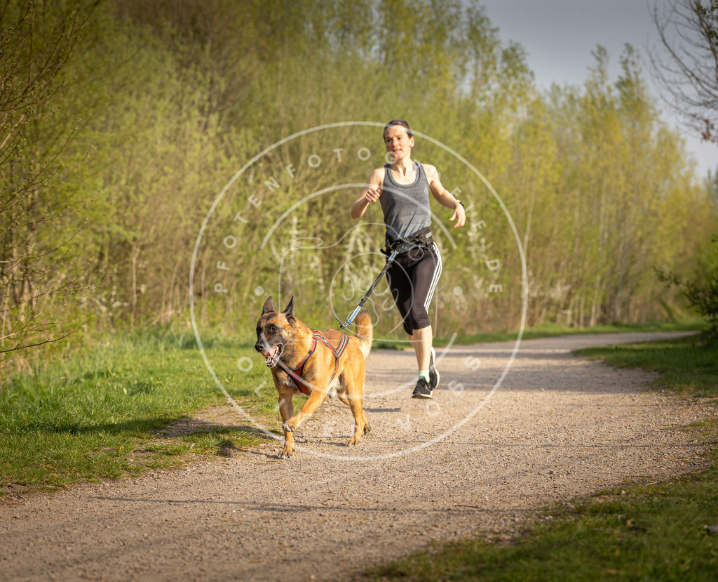 Pfotenfotografie_DV3A4571 | Hundefotografie, Tierfotograf, Pfotenfotografie, Fotoshooting Hund, Hunde Portrait, Hundesport, Hundeportraits, Heideshooting, Hunde, Sportfotograf, Hundefotograf, Turnierhundsport, THS,  - Realisiert mit Pictrs.com
