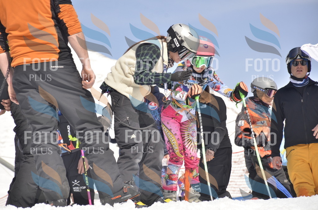 _ELE9325 | holidayphoto