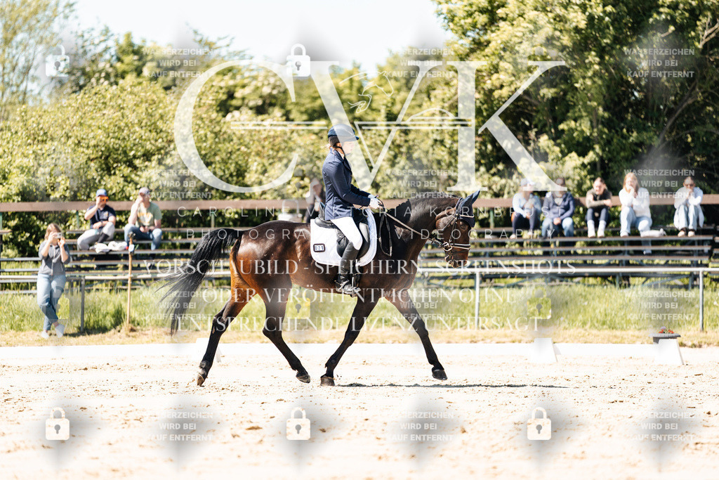 CK905376 | Turnierfotografie Pferdefotografie Trier Rheinland-Pfalz Pferdesport Reitsport Tierfotografie Sportfotografie Pferdevideo Pferdevideografie Equestrianvideography equestrianphotography  - Realisiert mit Pictrs.com