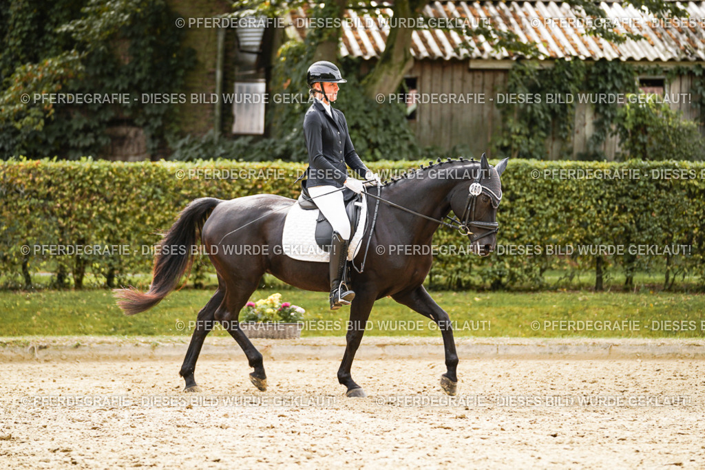 DSC02074 | Pferdegrafie