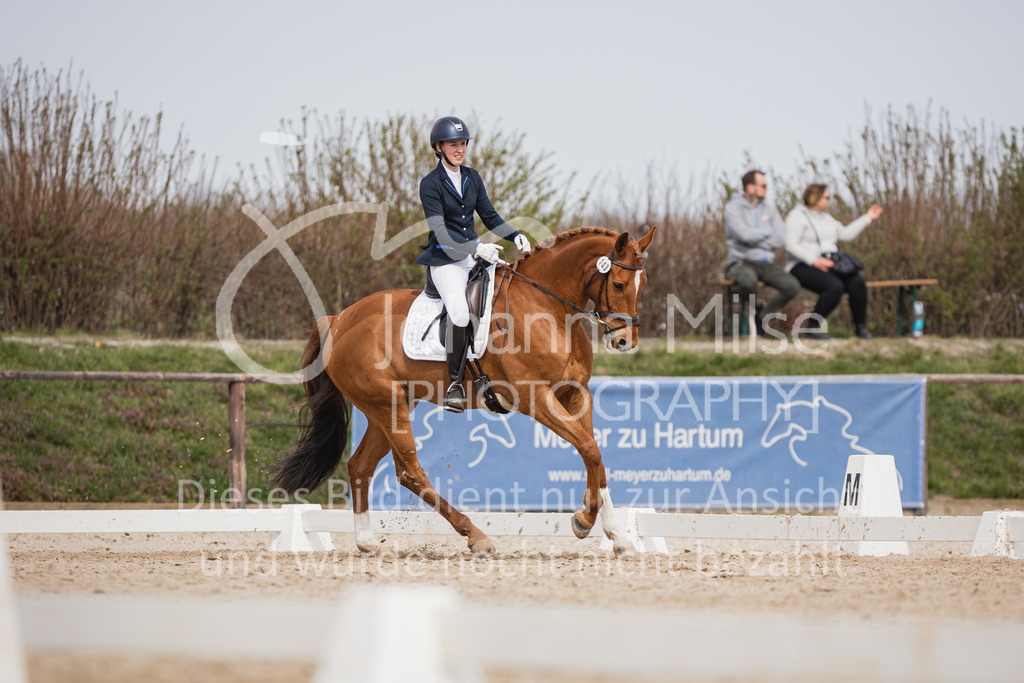 230410_Frühlingsfest_A-Dressur-487 | Deine schönsten Turniermomente als professionelle Fotos! Entdecke hochwertige Pferdesport-Fotografie im Online-Shop. Jetzt Fotos finden & bestellen!