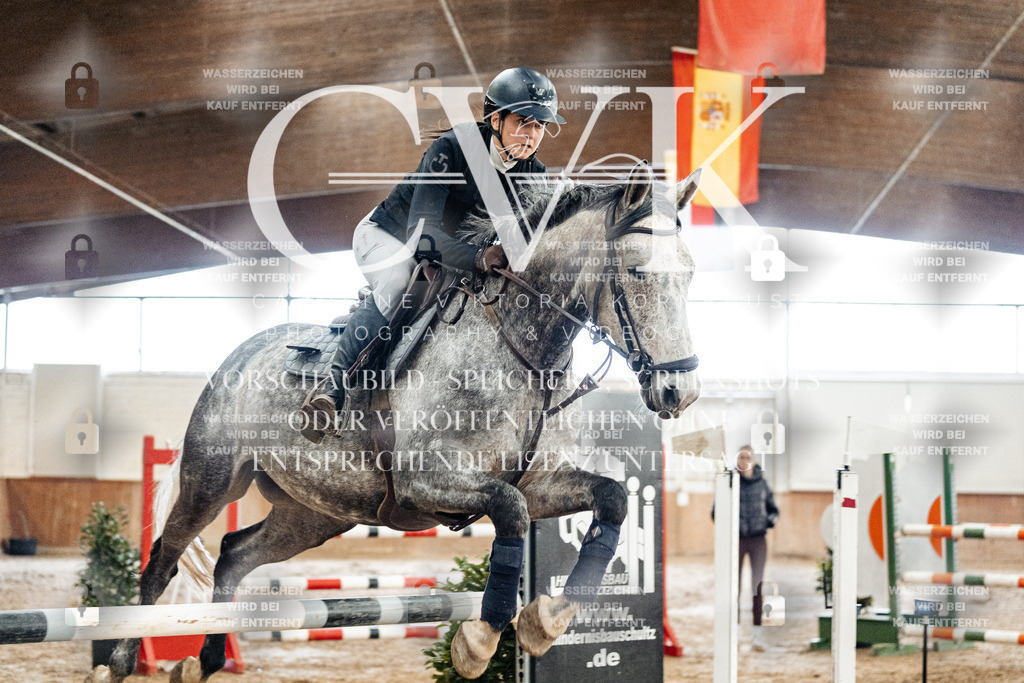 CK906319 | Turnierfotografie Pferdefotografie Trier Rheinland-Pfalz Pferdesport Reitsport Tierfotografie Sportfotografie Pferdevideo Pferdevideografie Equestrianvideography equestrianphotography  - Realisiert mit Pictrs.com