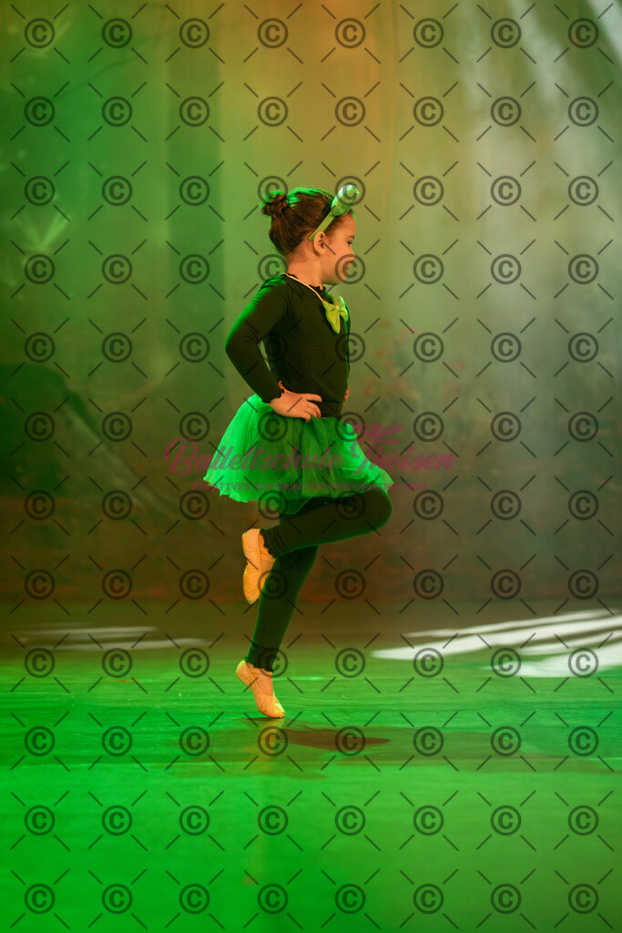 Ballettaufführung-1585 | Bildershop Lem'n Entertainment - Realisiert mit Pictrs.com
