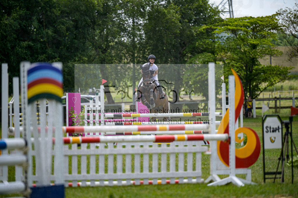 Reitturnier Voxtrup | Entdecke hochwertige Reitturnierfotos von Foto Oger. Professionell, emotional und authentisch – jetzt Lieblingsmomente im Shop bestellen.Deutschlandweite Turnierfotografie. - Realisiert mit Pictrs.com