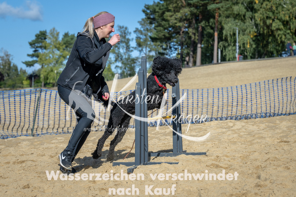 1145_ZZ91962-2 | kk-dogfotos