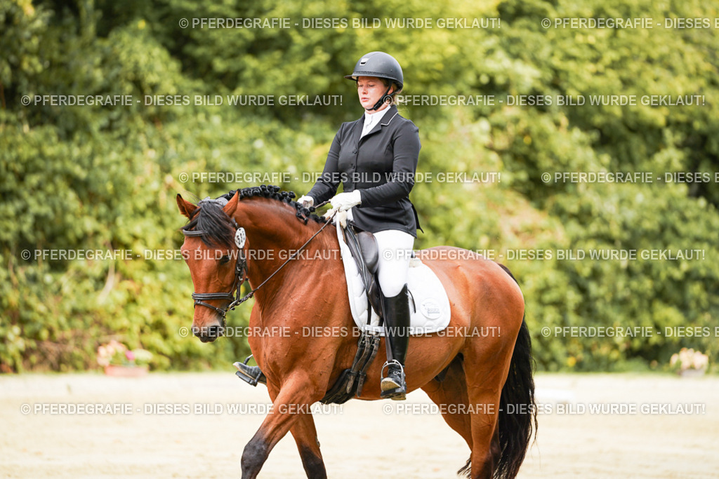 DSC01929 | Pferdegrafie