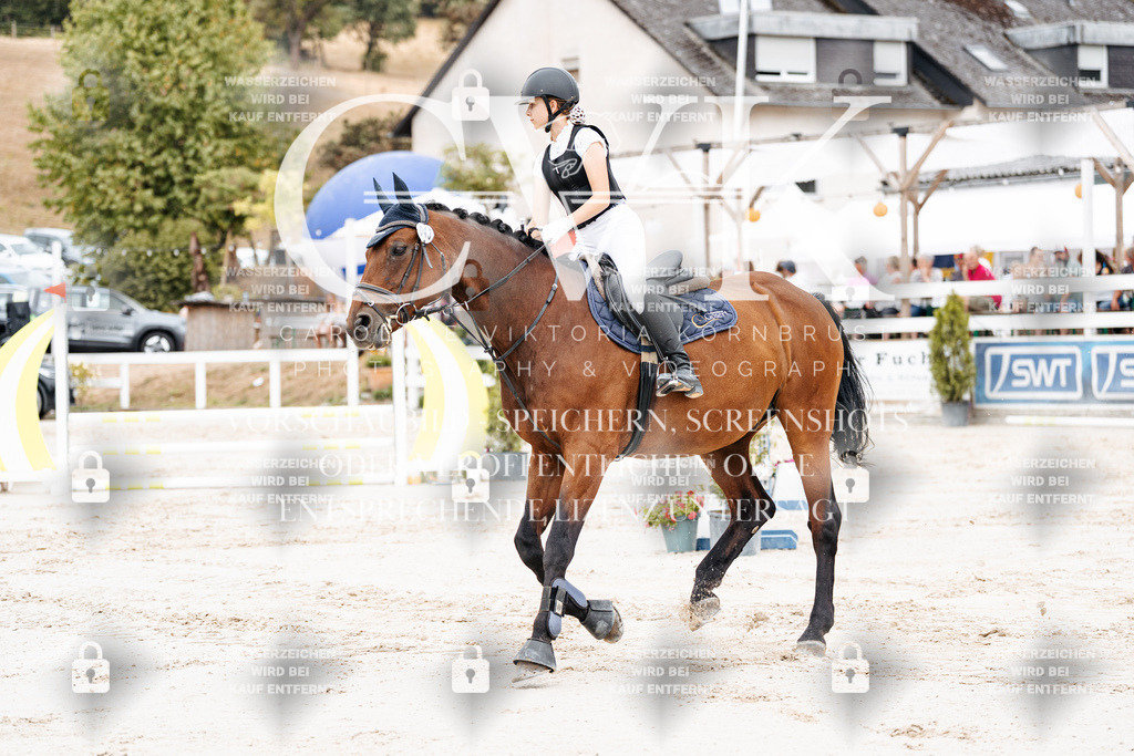 CK907977 | Turnierfotografie Pferdefotografie Trier Rheinland-Pfalz Pferdesport Reitsport Tierfotografie Sportfotografie Pferdevideo Pferdevideografie Equestrianvideography equestrianphotography  - Realisiert mit Pictrs.com