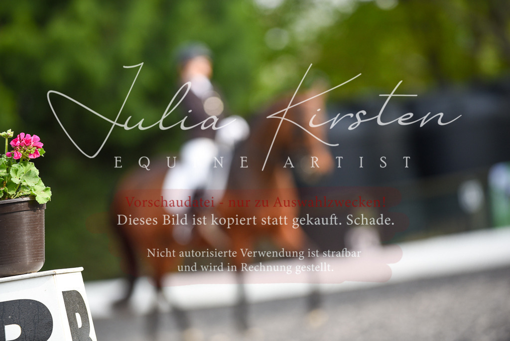 20230513_JK-Röhrsdorf-17-347 | Pferde- und Turnierfotografie in Westsachsen. Pferdeportraits, Auftragszeichnungen und intuitive Kunst.