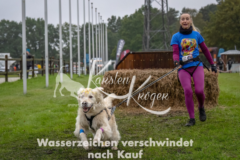 1230--27 | kk-dogfotos