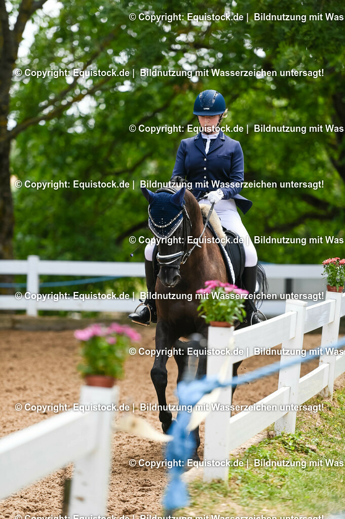 20230716_03_Dressurprfg. Kl.L - Tr._0622 | equistock