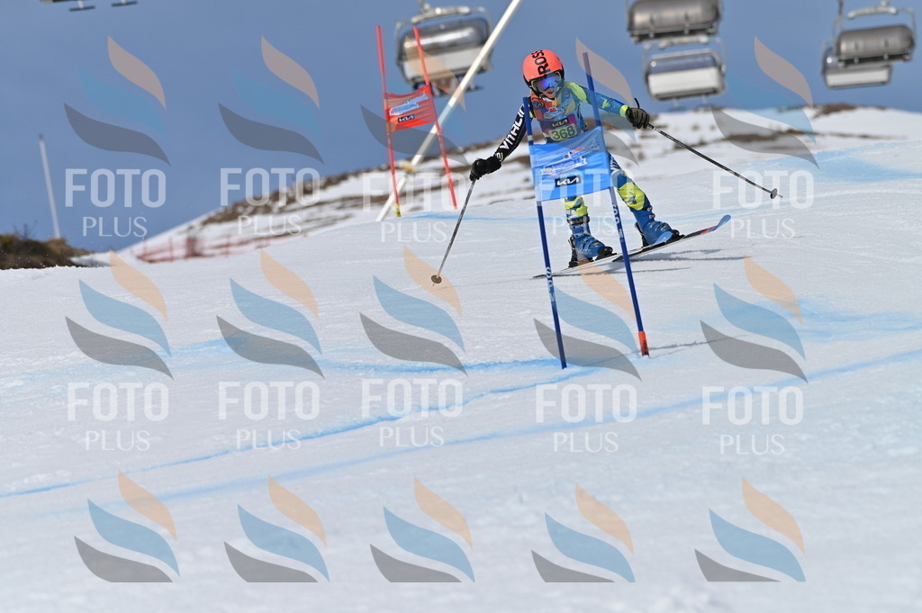 BGV_7278 | holidayphoto