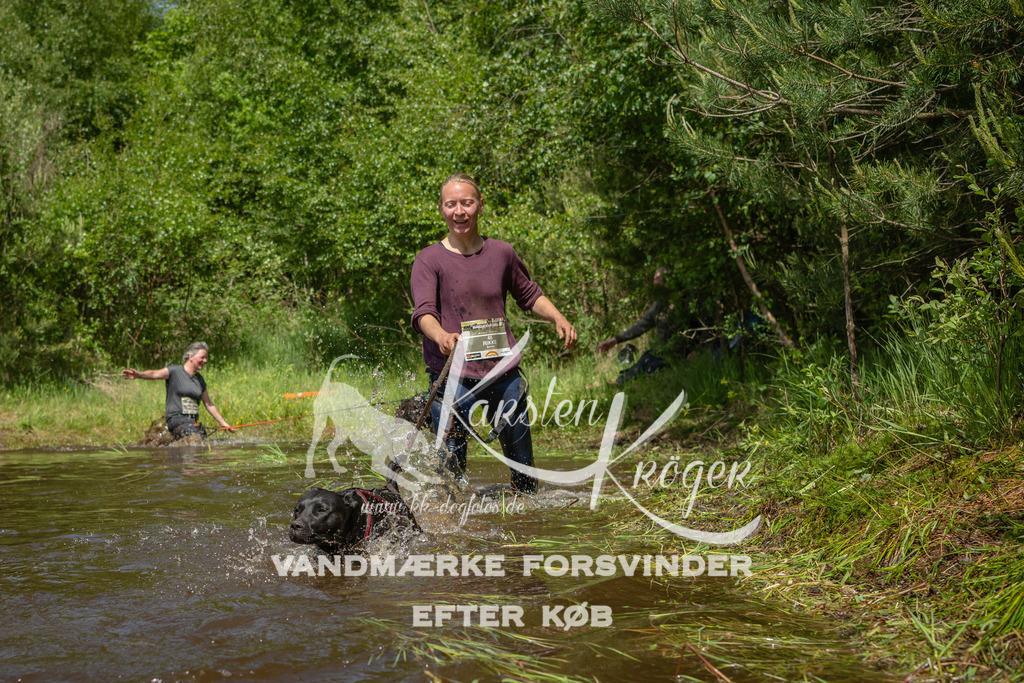 1257DKK993784 | kk-dogfotos