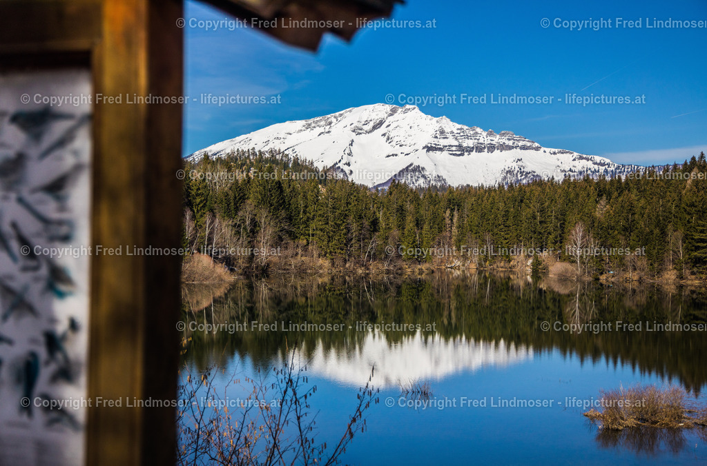 Otscher  (46) | Fotos und Fotoprodukte - Realisiert mit Pictrs.com